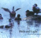 Birds and Light