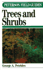 A Field Guide to Trees and Shrubs 1975